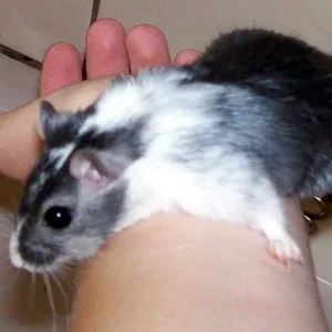 *soll ich hier runterhüpfen?*