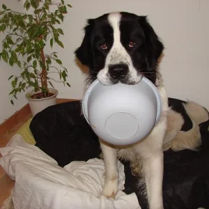 Frauliiii HUNGERRRRRRR!!!!!