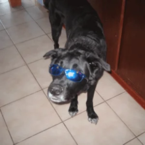 Ich kann mich nicht entscheiden...