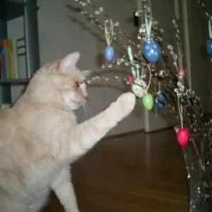 Hab ihn erwischt....