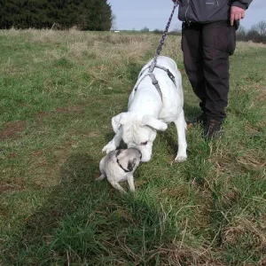 Isaac und Paul-erstes Kennenlernen..