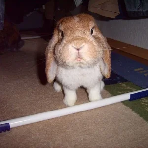 Was hast du denn da????