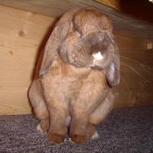 Nicht einschlafen!!!!!