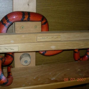 haha du kriegst mich nicht