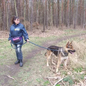 wenn die olle Leine nur nicht wäre