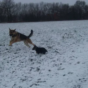 Spielen ist am schönsten