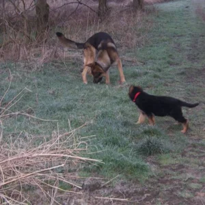 Na wer ist schneller