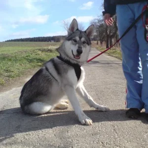 ausnahmsweise fotogen