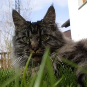 ... und noch eines...