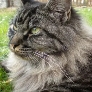 mich bringt nix aus der ruhe...