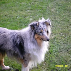 Hoven ganz neugierig