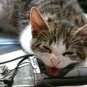 Akku leeeeeeeeeer...