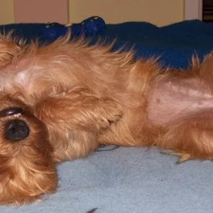 Elly wenn sie Schläft