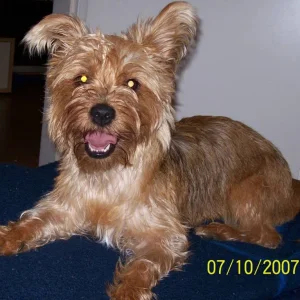 Hahaha Elly nach dem Baden ;)