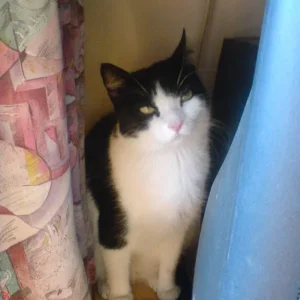 Mein versteck wurde gefunden