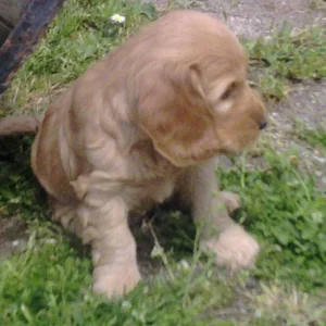 Luna mal ganz lässig*gg*