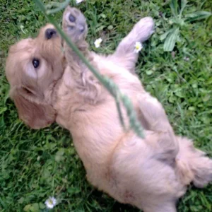 Luna ein bisschen ärgern