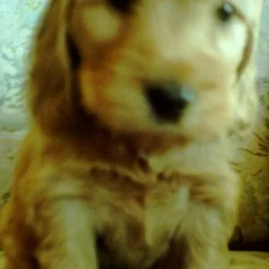 So mal richtig von vorne mich angucken*gg*