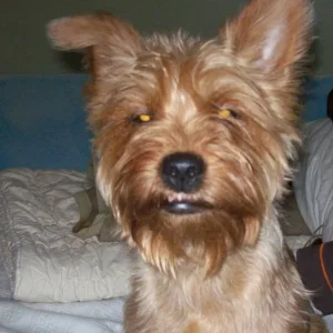 Elly ist ja so Müde die Augen gehen schon im Sitzen zu LOL