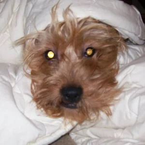 Elly und Ihre Verstecke