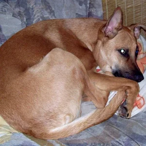 seine lieblingsbeschäftigung