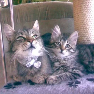 Mamma Cleopatra mit Tochter Gina