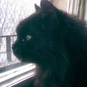 Nanu was ist das weisse da draussen