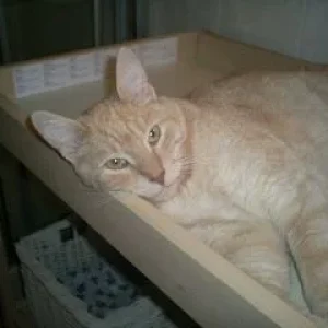 Der Wickeltisch gehört mir!