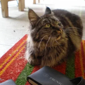 ja nicht frauli's schlapfen betatschen....