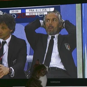 Fernsehen ist super!