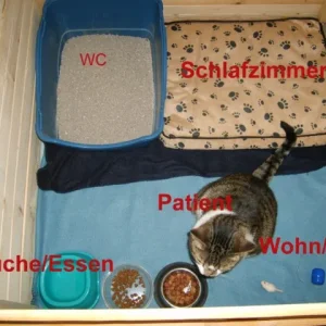 Ein-Raum-Wohnung für Patienten