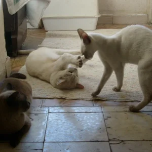 Szene aus dem Alltag