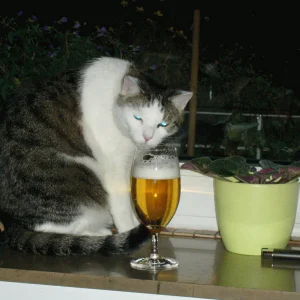 Feierabendbier gefällig?