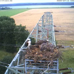 aufgenommen auf der  Sielmann Cam