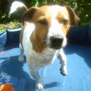 Max in seinem Mäxchenpool