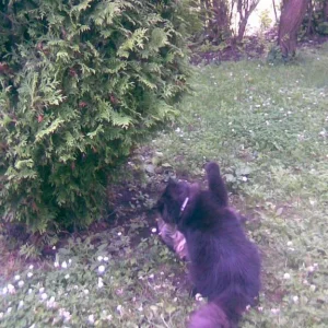 Nun bekommst du eine Ohrfeige weil du mich immer ärgerst