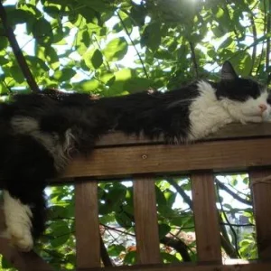 soooooooooooo müde....