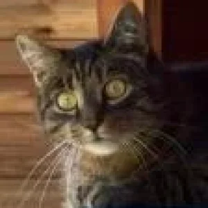 Spieglein, Spieglein..