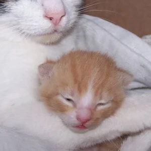 ...dann riskier ich mal nen kleinen Blick