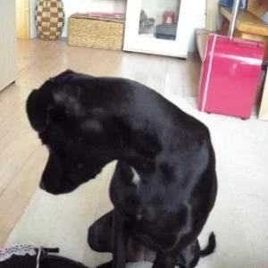 Mann, 70 A passt immer noch nicht