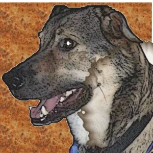 Chiccolino- selbst gepastelt...