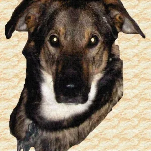 Selbst gebastelt- Wachsamer Hund