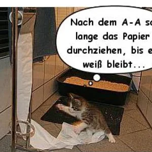 NACH dem KaKlo Hintern putzen!