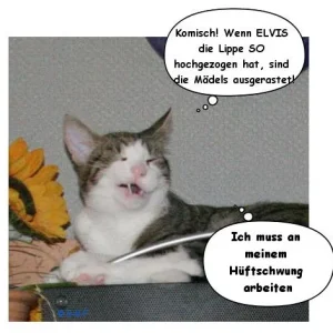 Horst als Elvis