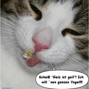 Geiz ist ja sowas von geil...