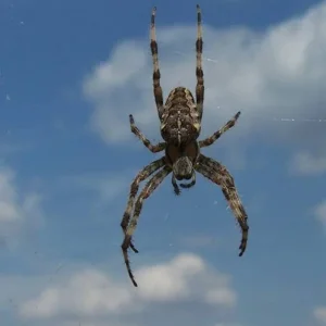 so schlimm sind die gar nicht