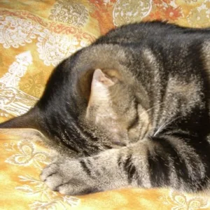 .... vorsichtshalber immer Augen zudecken ....