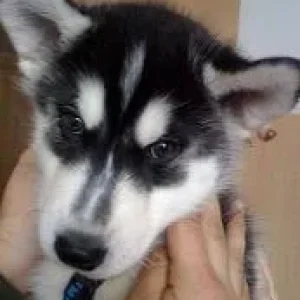 Hier unser neues Familienmitglied