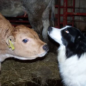 du siehst aber komisch aus