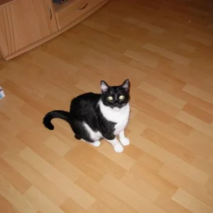 Bin ich nicht schön